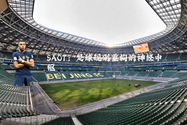 SAOT:足球规则重构的神经中枢